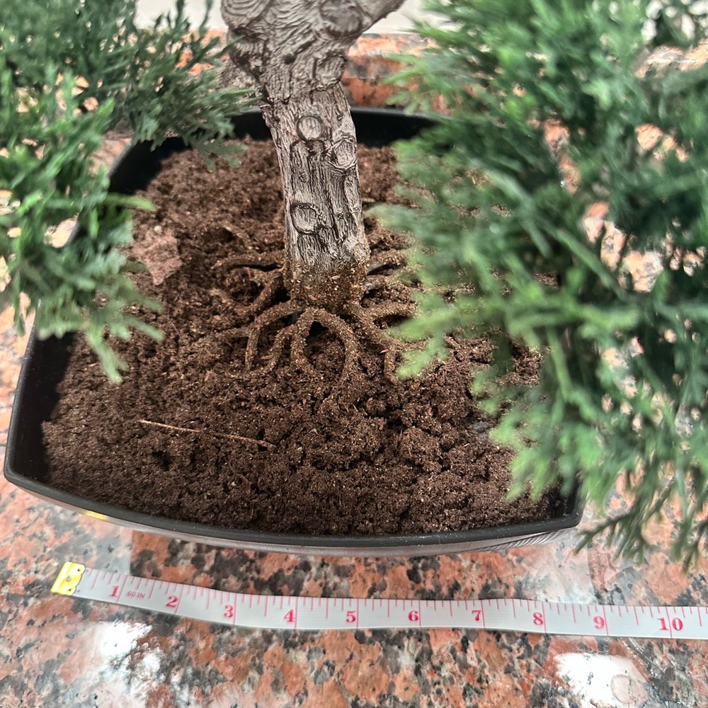 Artificial Elegant Bonsai Pine Tree Plastic Simulation Potted Plant Decorative - Picture 8 of 16